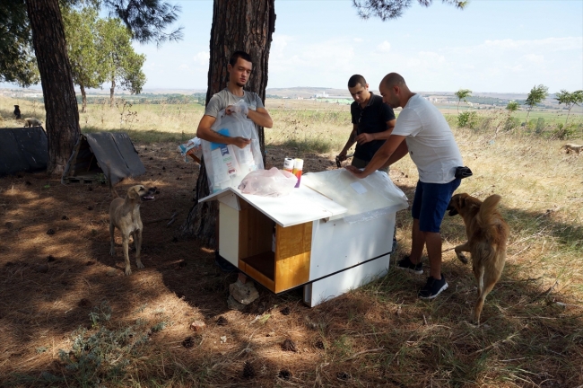 Hayvanseverler sokak hayvanlarına atık malzemelerden yuva yapıyor